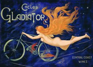 cycles Gladiator   20 x 30 cm 