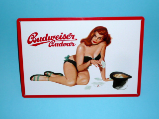 Budweiser Budvar - 20 x 30 cm 