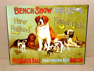 Bench Show  40 x 30 cm 