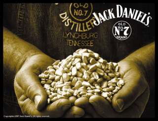 Jack Daniels   40 x 30 cm 