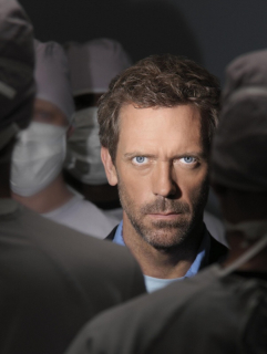 Dr.House - barevný     40 x 30 cm 